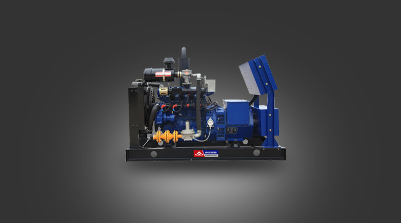 Kangwo holding natural gas generator set